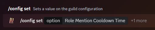 Usage of the slash command '/config set option:Role Mention Cooldown Time'