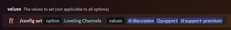 Usage of the slash command '/config set option:Leveling Channels'