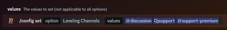 Usage of the slash command '/config set option:Leveling Channels'